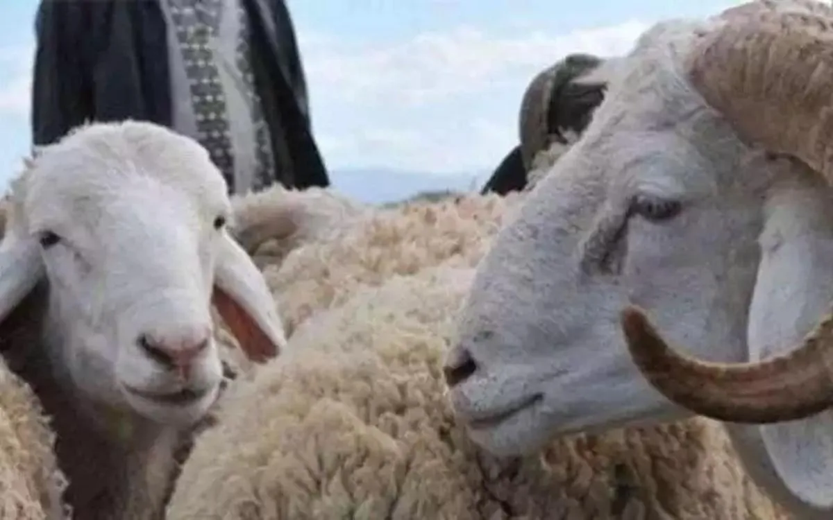 フランスのEid2025：ボイコットに電話しますか？