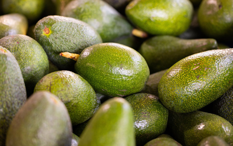 record avocado exports, but at what price?