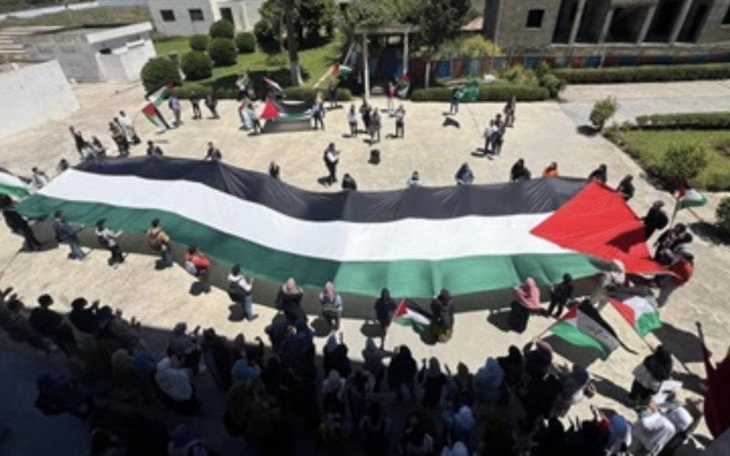 university protests against Israel gain momentum