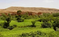 Maroc : 43.000 hectares privatisés en 2007