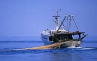 Un chalutier marocain arraisonné en Espagne paie 30.000 euros de caution