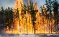 Sept hectares de forêts ravagés par un incendie dans le nord
