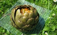 Artichauts farcis aux petits pois