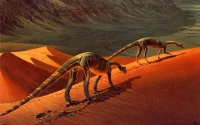 "Tazoudasaurus naïmi "le plus vieux dinosaure du monde", découvert au Maroc