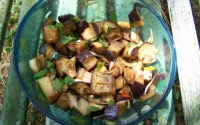 Salade d'aubergines au thon 