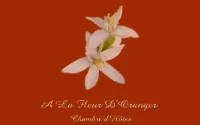 À la fleur d'oranger