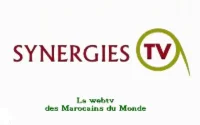 Synergies TV, une télévision web pour les MRE