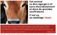 Une campagne contre l'abattage rituel fait polémique en France
