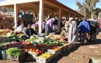 Baisse du prix des fruits et légumes au Maroc