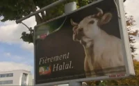 Le halal en France, "une escroquerie publique" ?