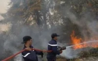 Un incendie ravage 160 hectares de forêts à Agadir