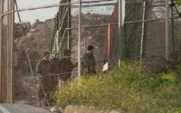 Que font les forces auxiliaires marocaines entre les clôtures de Melilla ?