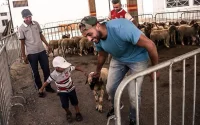 Badr Hari fait don de 200 moutons pour l'Aïd Al Adha à Kénitra (photos)