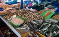 Ramadan : le poisson devient un produit de luxe au Maroc (vidéo)