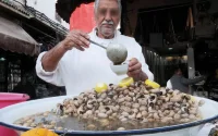 Les Espagnols raffolent des escargots marocains