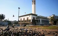 Casablanca fait la chasse aux pigeons