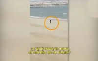 Espagne : les commentaires racistes d'un policier font réagir le ministère de l'Intérieur (vidéo)