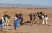 Maroc : affrontements entre tribus nomades près d'Agadir
