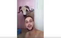 Il n'aurait pas dû prendre un selfie avec un mouton ... (Vidéo)