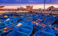 Les touristes toujours impressionnés par Essaouira (Vidéo)