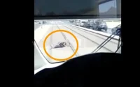 Il n'aurait pas dû s'accrocher au tramway (vidéo)