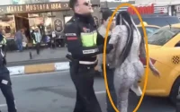 Ivre et déchaînée, une Marocaine sème le désordre à Istanbul (vidéo)