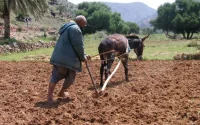 Une aide pour les petits agriculteurs marocains