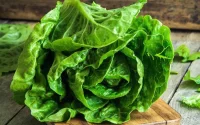 France : étrange découverte dans des feuilles de salade