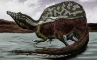 Découverte incroyable d'un dinosaure au Maroc