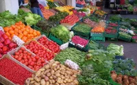Maroc : succès économique pour les marchés de gros 