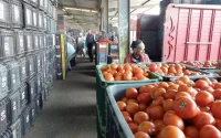 Maroc : les marchés de gros fermés pour éviter la spéculation
