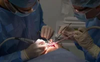 Secoués par la crise, les dentistes veulent reprendre du service