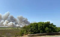  Tanger : incendie à la Forêt diplomatique