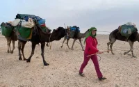Maroc : elle parcourt 1400 km à dos de dromadaire (vidéo)