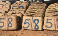 Opération anti-drogue à Agadir : six personnes interpellées