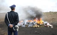 Tanger : incinération de plus de 14 tonnes de drogues et de psychotropes