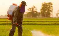 Les pesticides proscrits en Europe bientôt interdits d'utilisation au Maroc