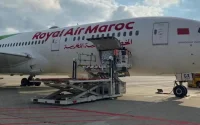 Alerte cafards : un vol Royal Air Maroc vire au cauchemar