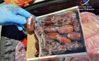 Espagne : de la drogue dissimulée dans des… dattes