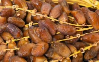 Maroc : la question des dattes algériennes arrive au parlement