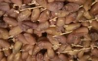 Dattes tunisiennes : la Tunisie ferme la porte au Maroc