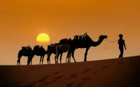 Le Sahara marocain a un nouvel atout : ces randonnées “caravane” séduisent l'hiver venu