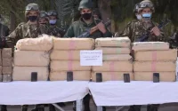 « Le Maroc est devenu une route importante pour le cannabis », selon un officiel algérien