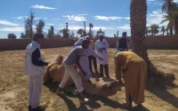 Maroc : des dromadaires victimes d'une maladie étrange