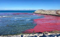 Tanger : le mystère de la plage rouge dévoilé (vidéo)