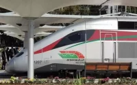 TGV Kénitra - Marrakech : les entreprises françaises se frottent les mains