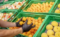 L'Espagne a augmenté ses importations de fruits et légumes marocains