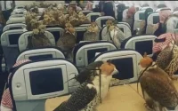 Un prince saoudien a-t-il acheté des billets d'avion au Maroc pour ses 80 faucons ?
