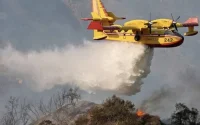Un feu de forêt ravage 100 hectares à Tétouan