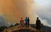 De nouvelles révélations sur les incendies en Algérie après les accusations contre le Maroc